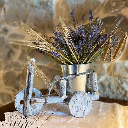 L'oca Giuliva Relais Panzió 3*