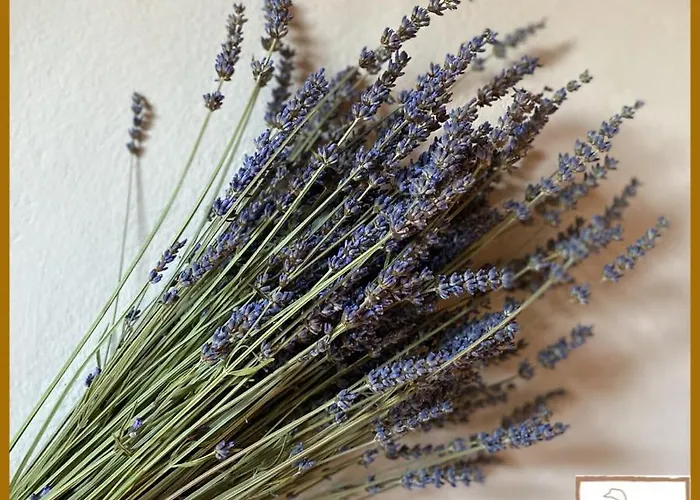 L'oca Giuliva Relais 3* Gaggio Montano